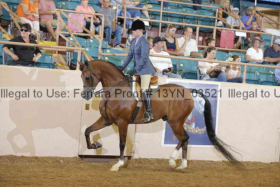 Proof 13yn_03521