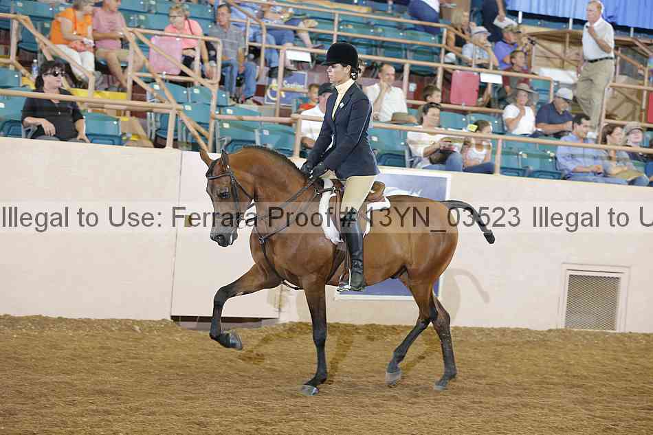 Proof 13yn_03523