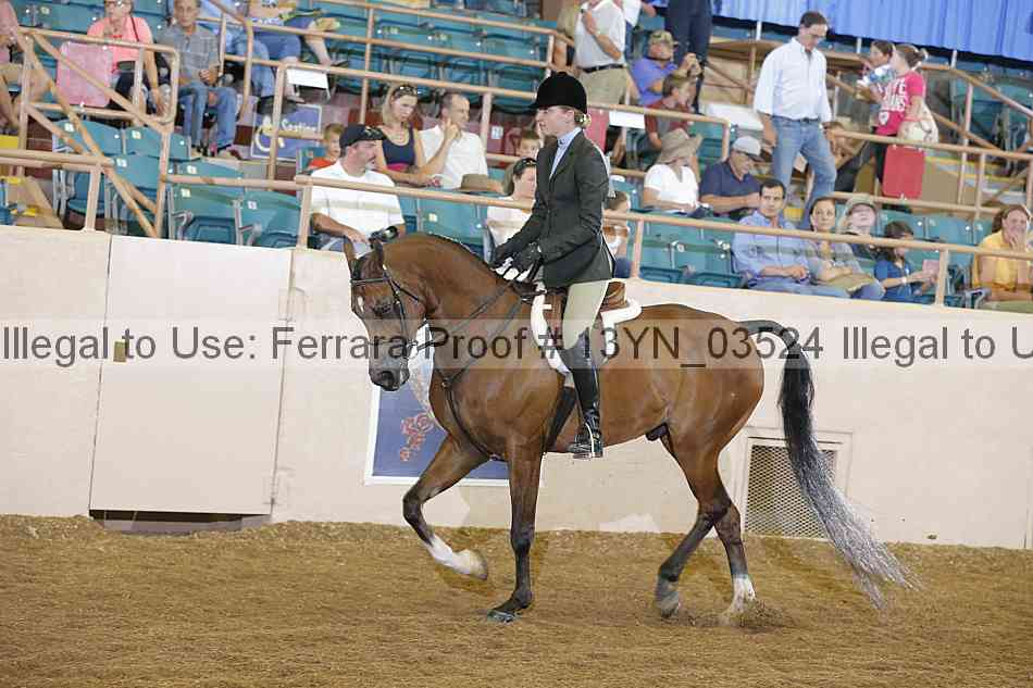 Proof 13yn_03524