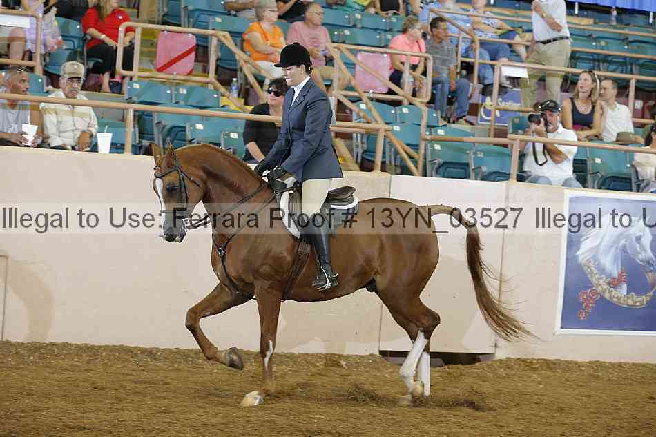 Proof 13yn_03527
