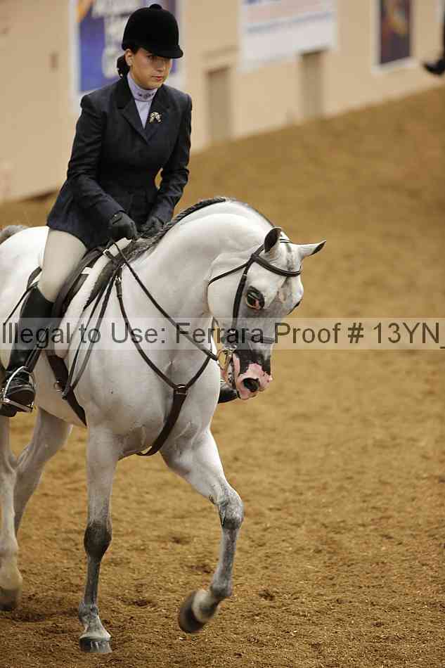 Proof 13yn_03528