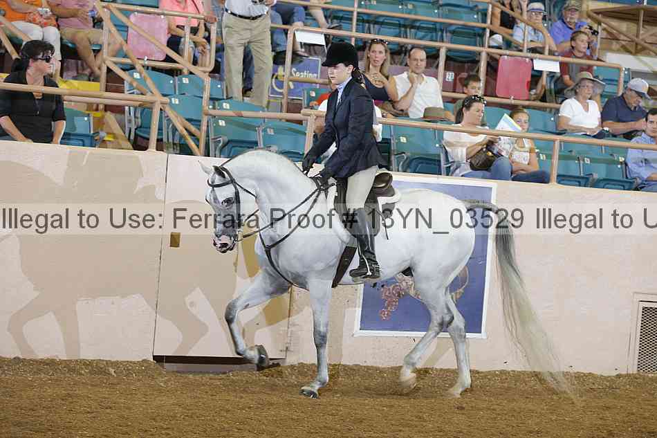 Proof 13yn_03529