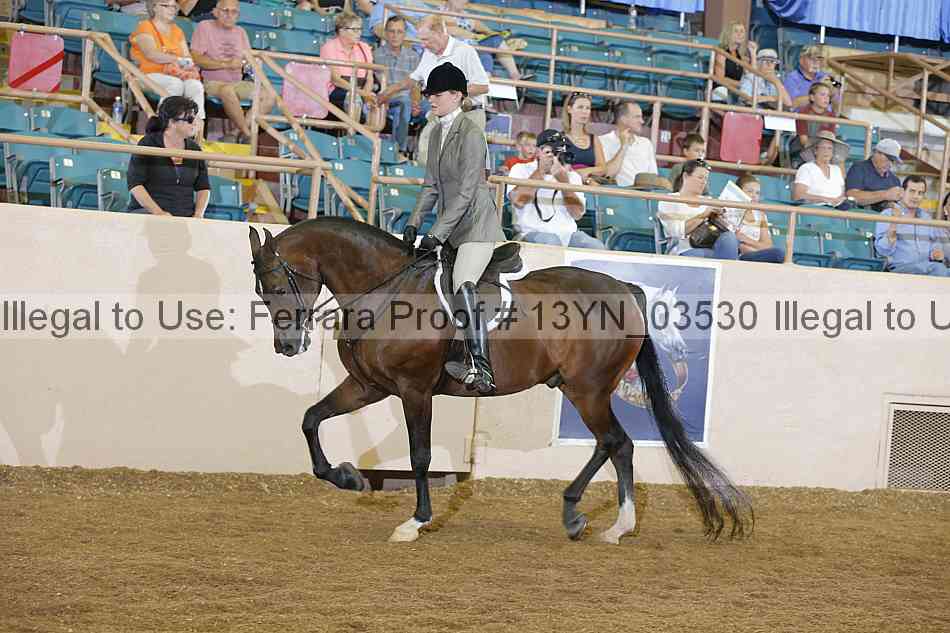 Proof 13yn_03530
