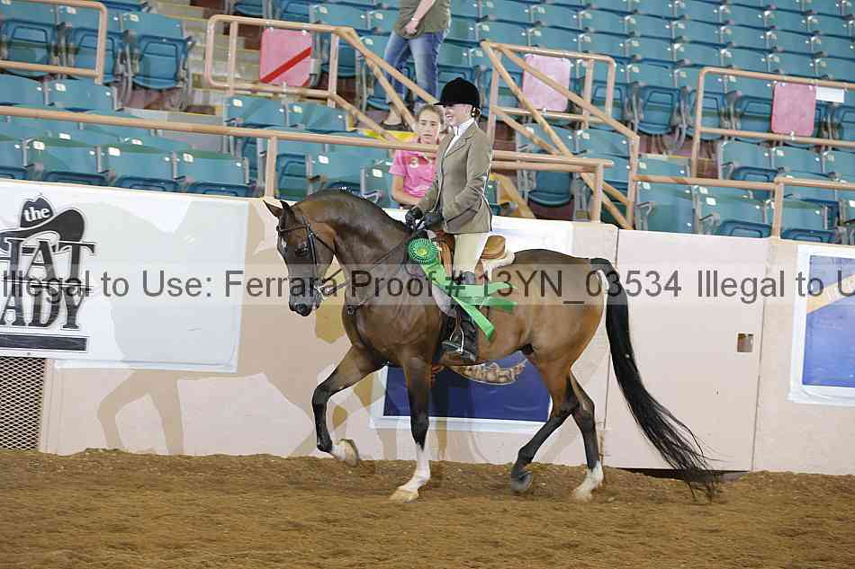 Proof 13yn_03534