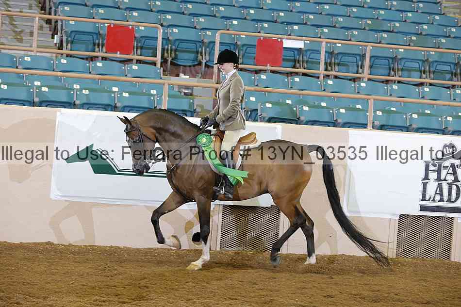 Proof 13yn_03535
