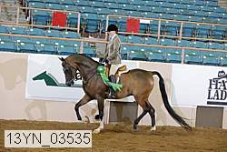 13yn_03535 proof