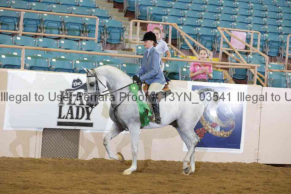 Proof 13yn_03541