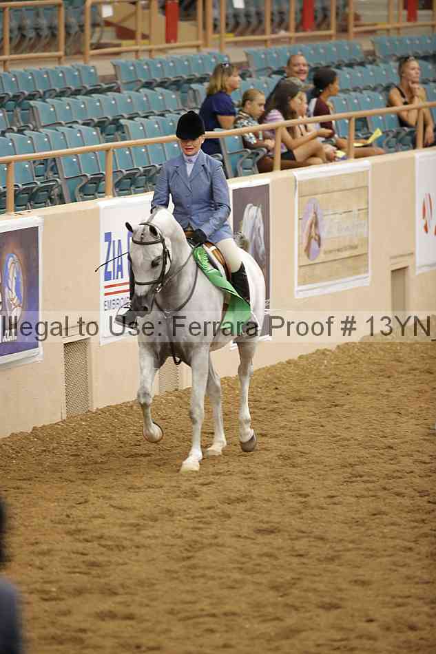 Proof 13yn_03545