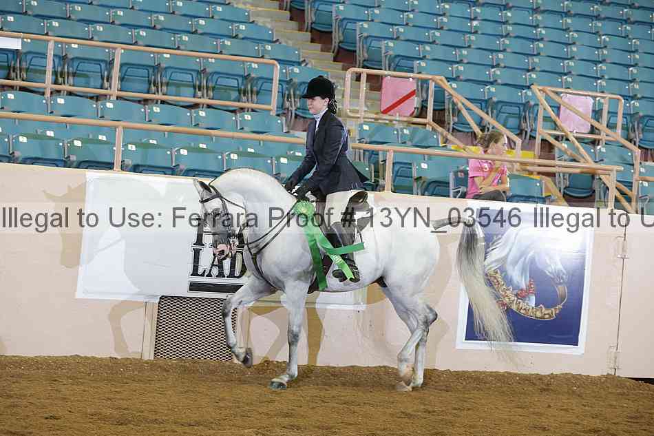 Proof 13yn_03546