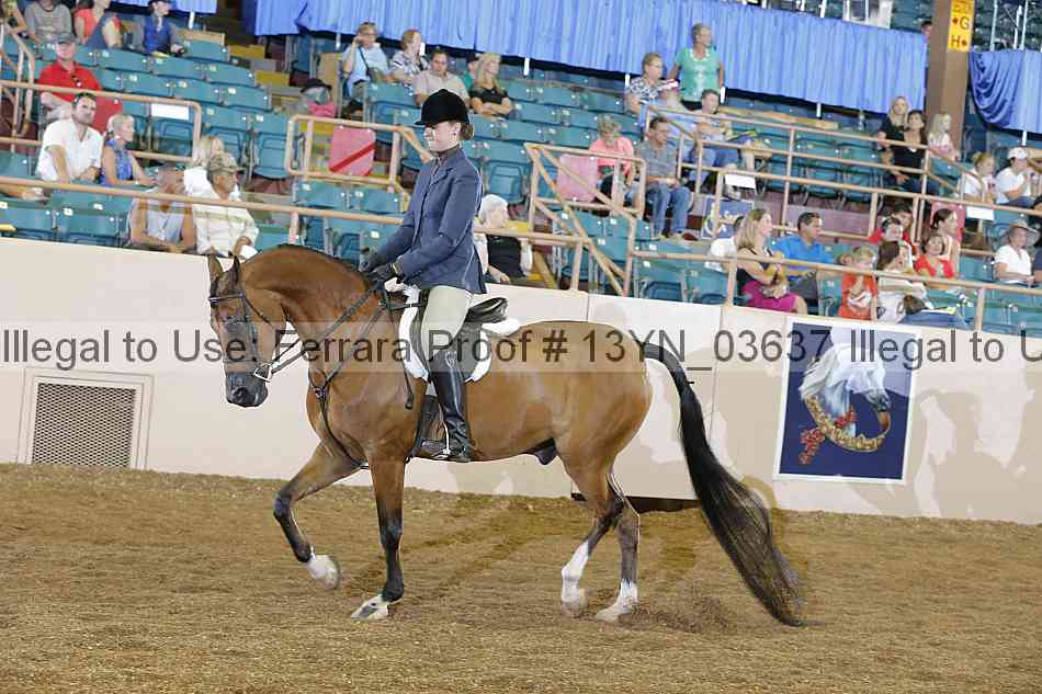 Proof 13yn_03637