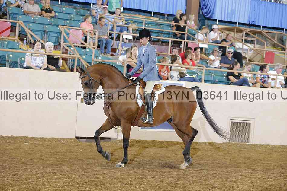 Proof 13yn_03641