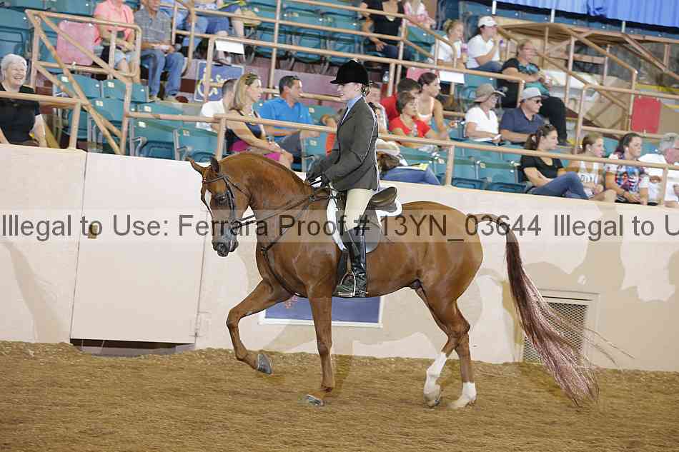 Proof 13yn_03644