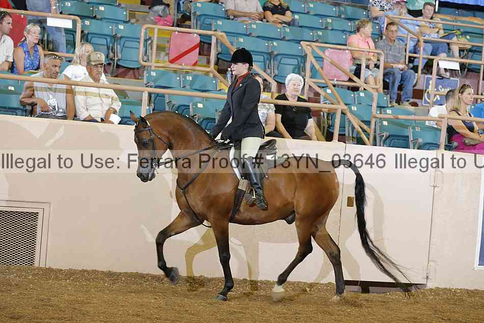 Proof 13yn_03646