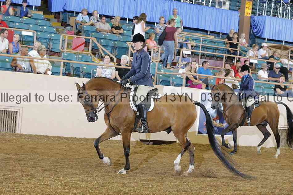 Proof 13yn_03647