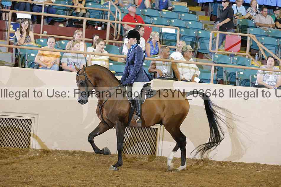 Proof 13yn_03648