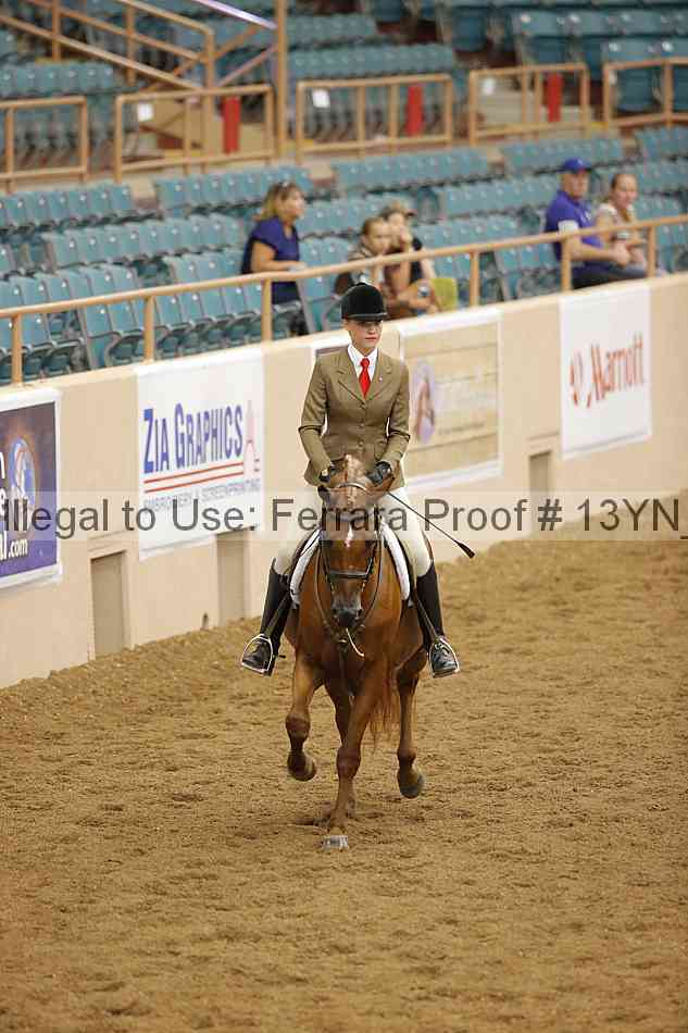Proof 13yn_03649