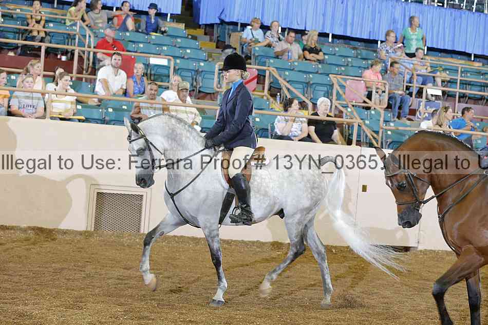 Proof 13yn_03651