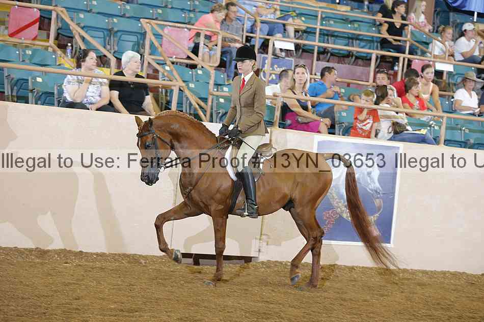 Proof 13yn_03653