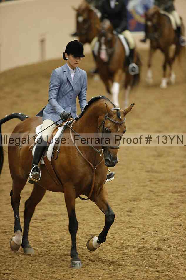 Proof 13yn_03655