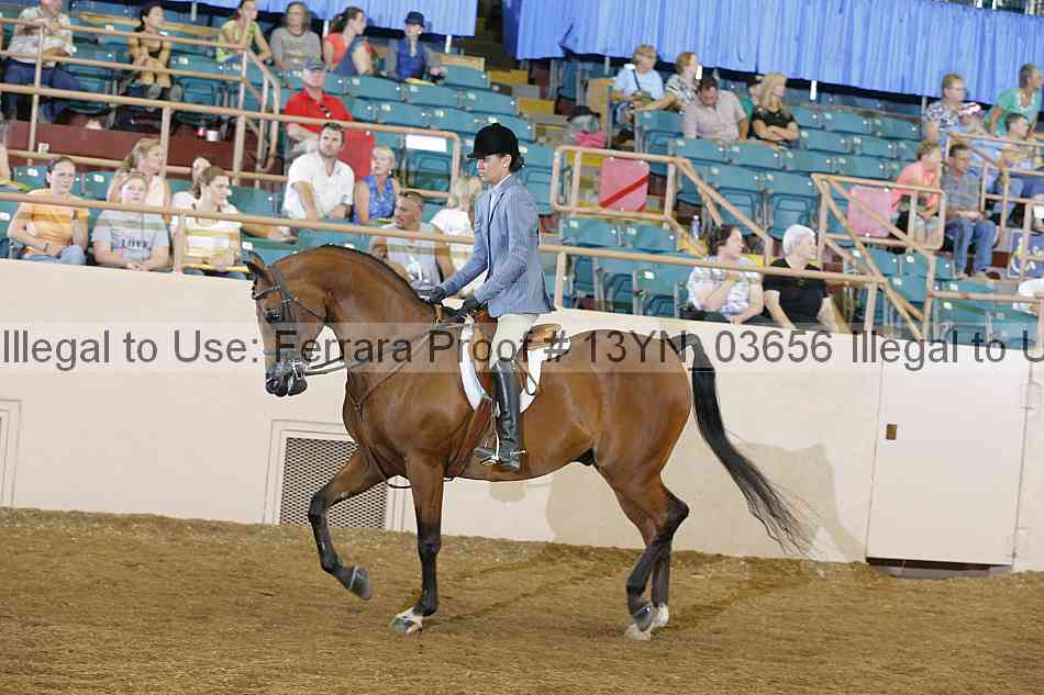 Proof 13yn_03656