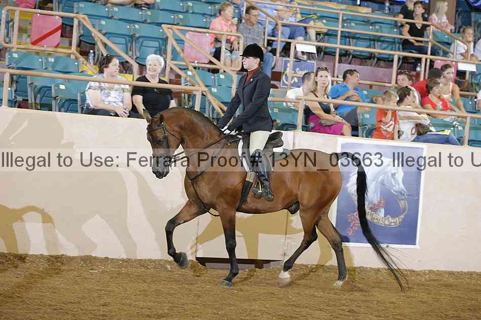 Proof 13yn_03663