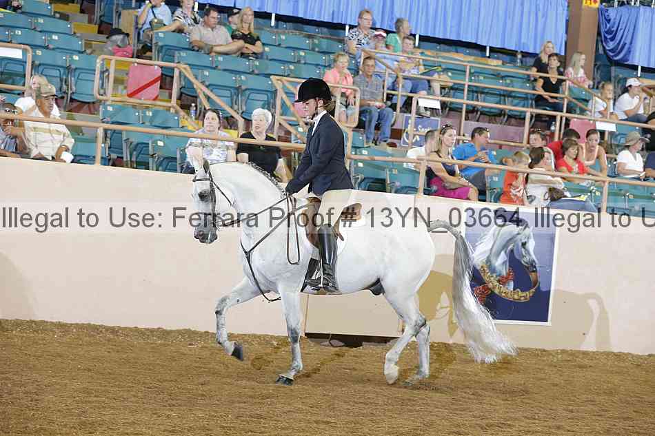Proof 13yn_03664