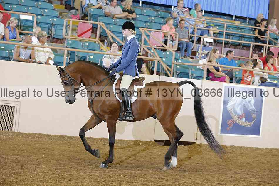 Proof 13yn_03666