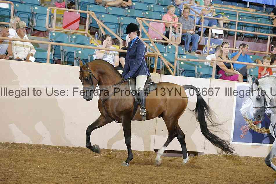Proof 13yn_03667