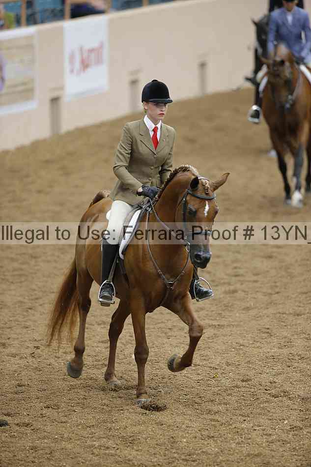 Proof 13yn_03668
