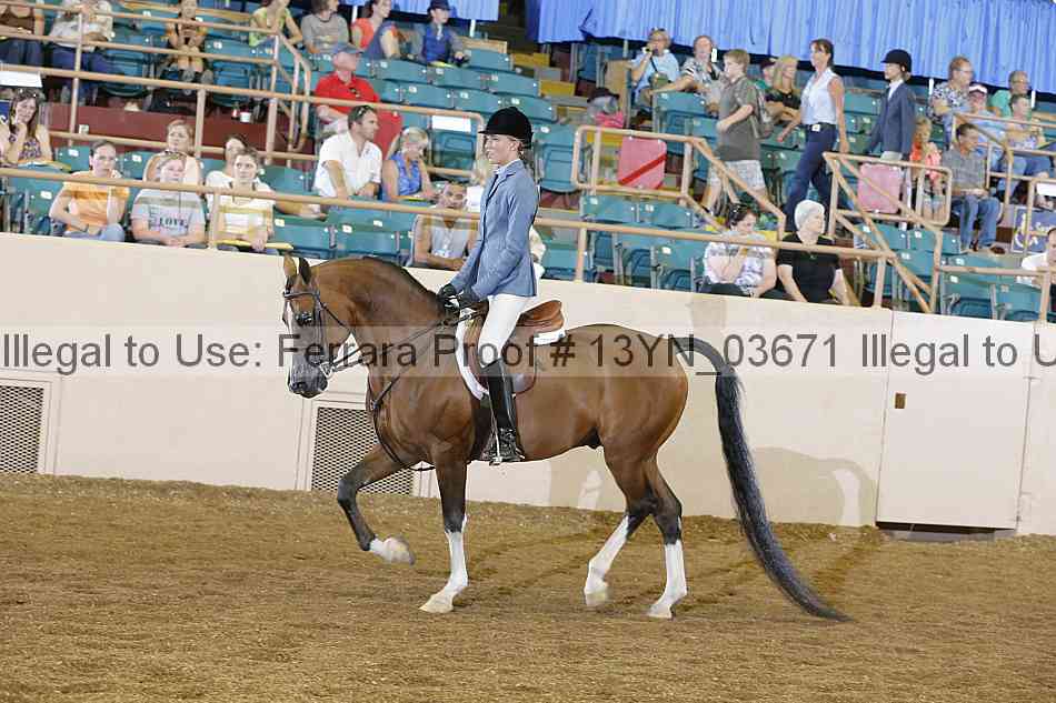 Proof 13yn_03671