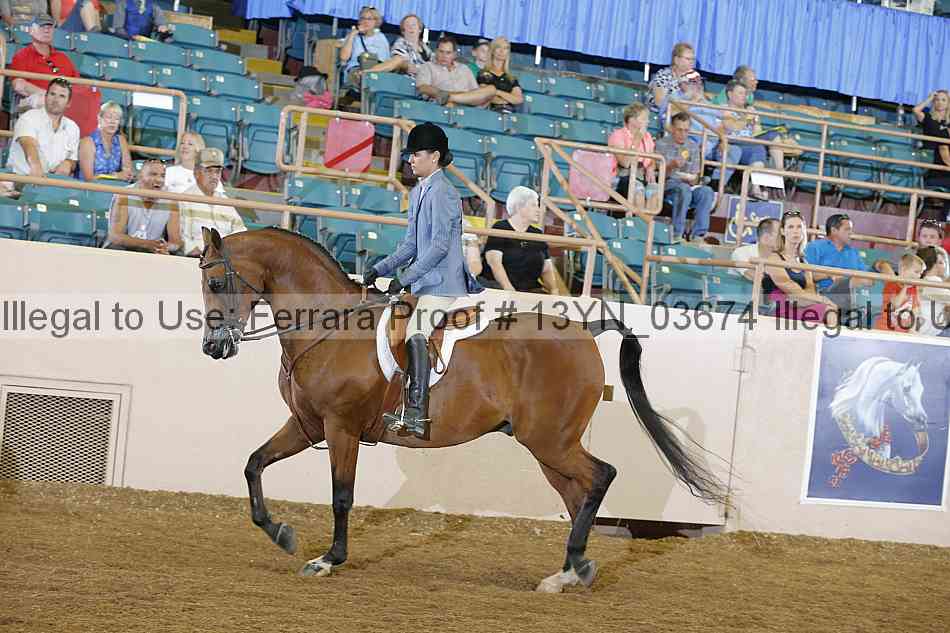 Proof 13yn_03674