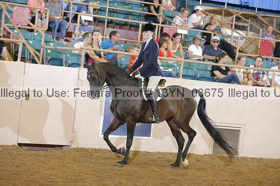 Proof 13yn_03675