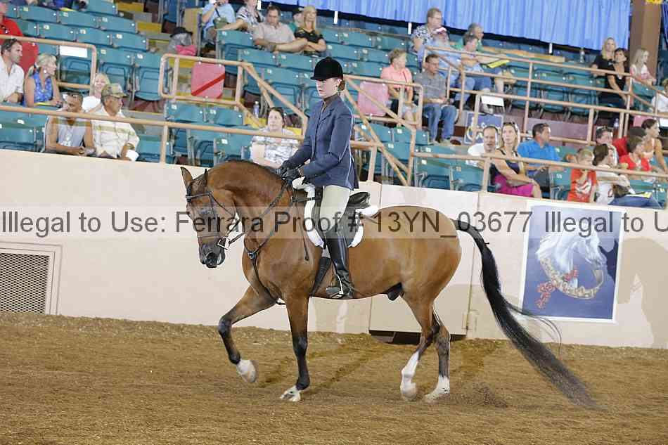 Proof 13yn_03677