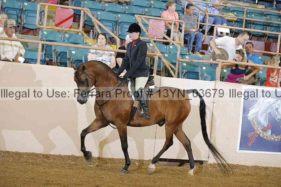 Proof 13yn_03679