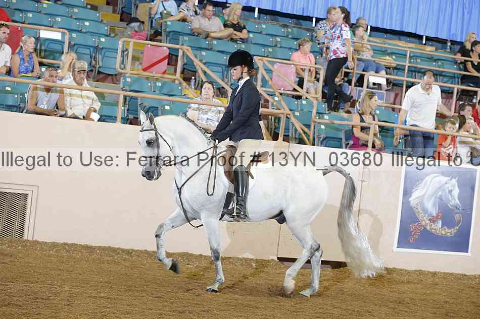 Proof 13yn_03680