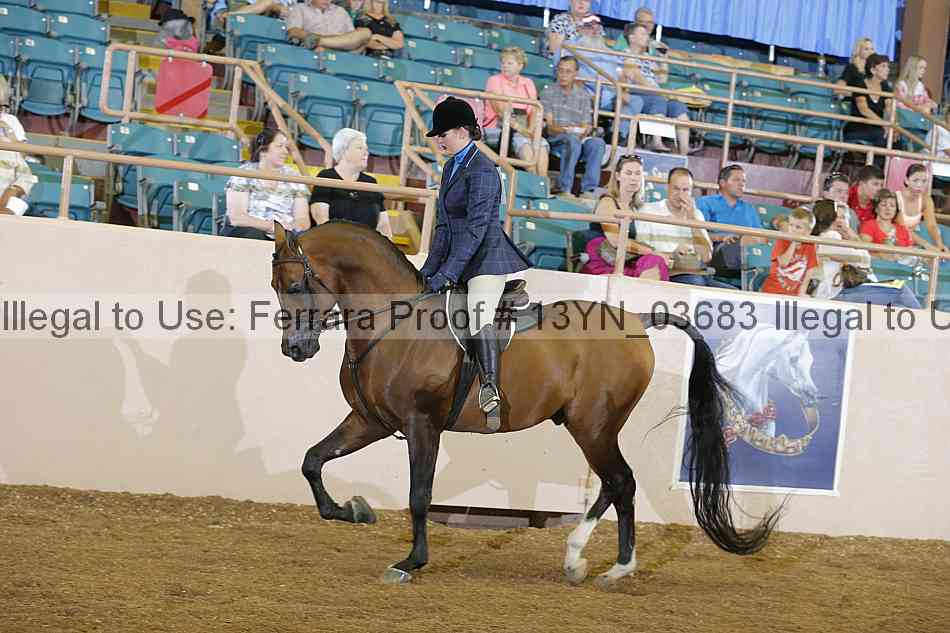 Proof 13yn_03683