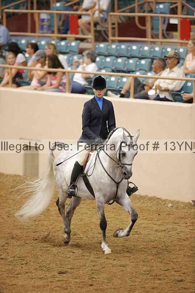 Proof 13yn_03690
