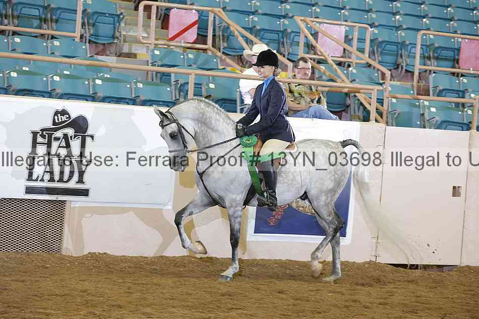 Proof 13yn_03698