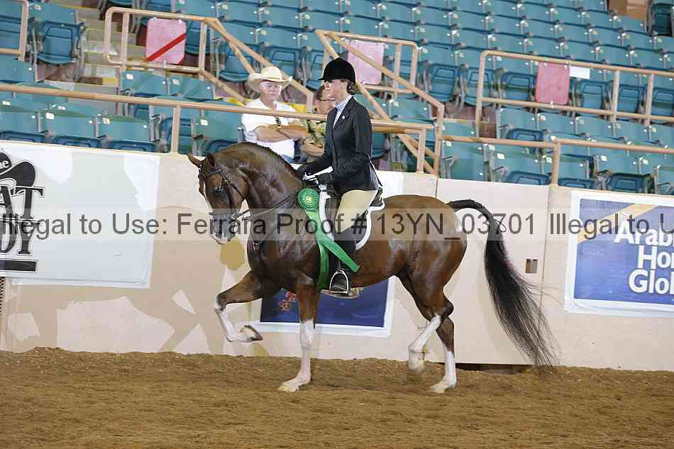 Proof 13yn_03701