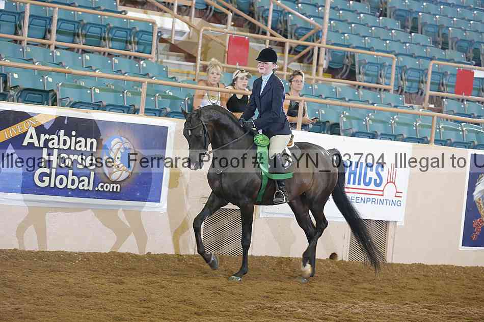 Proof 13yn_03704