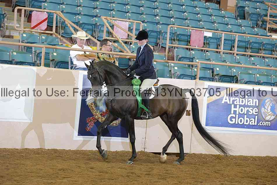 Proof 13yn_03705