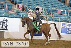 13yn_03707 proof