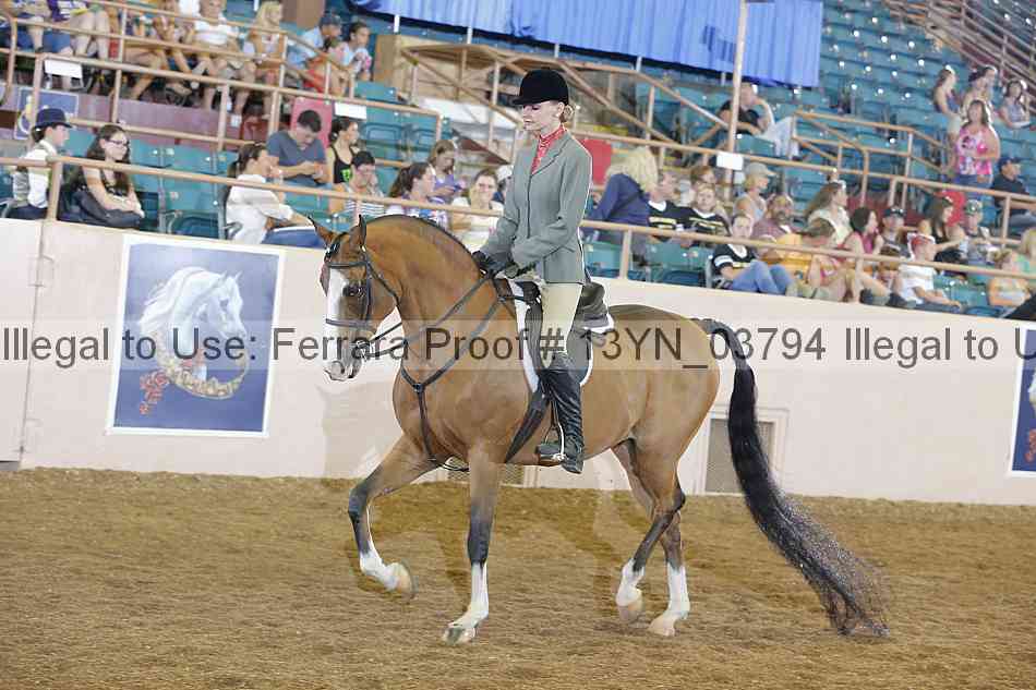 Proof 13yn_03794