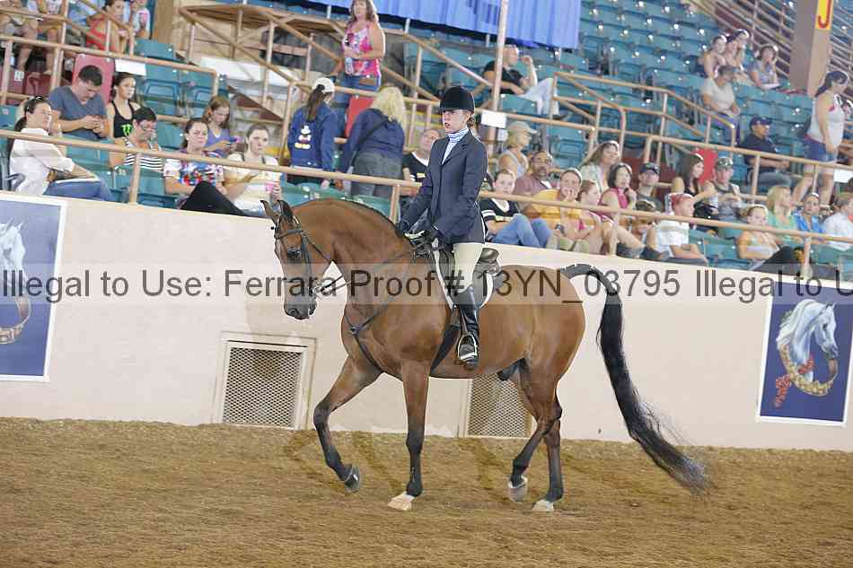 Proof 13yn_03795