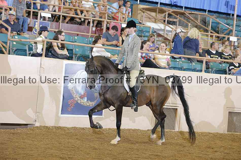 Proof 13yn_03799