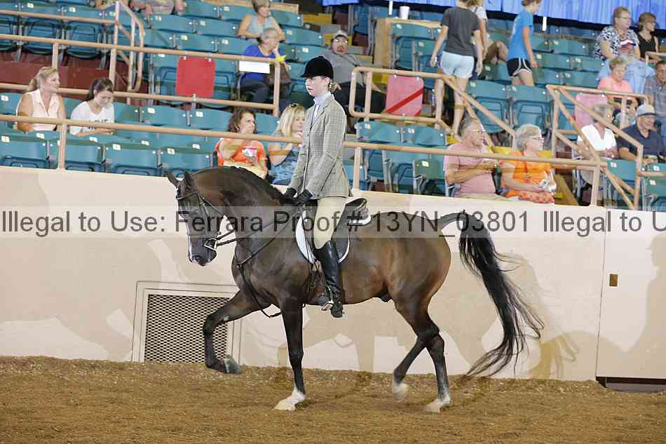 Proof 13yn_03801