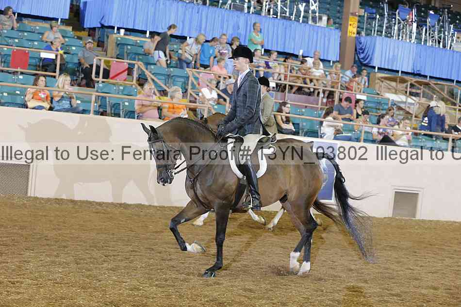 Proof 13yn_03802