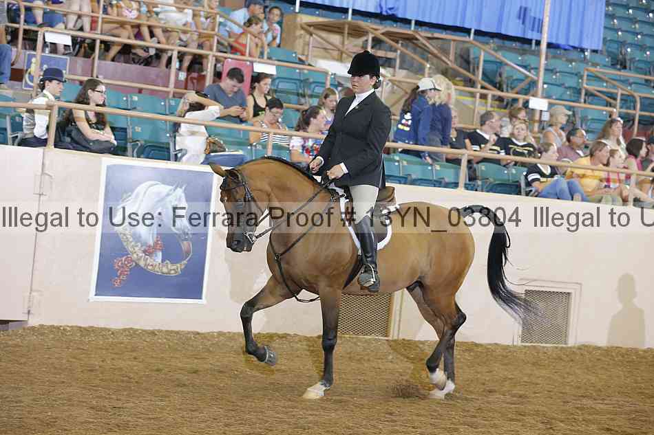 Proof 13yn_03804