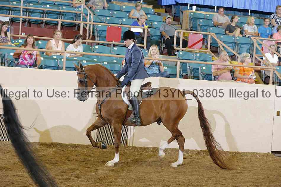 Proof 13yn_03805