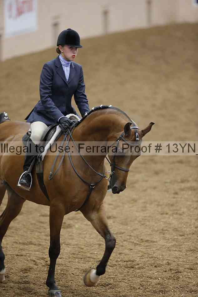 Proof 13yn_03806